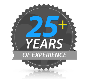 BlowFish SEO 25 + Years In The SEO, Digital Marketing & Web Design Profession West Palm